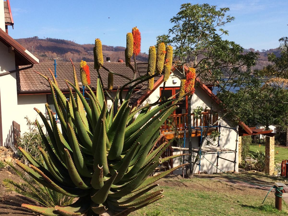 Fish Eagle Lodge Knysna Exterior photo